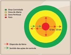 Técnicos capturam morcegos em ação preventiva contra a raiva